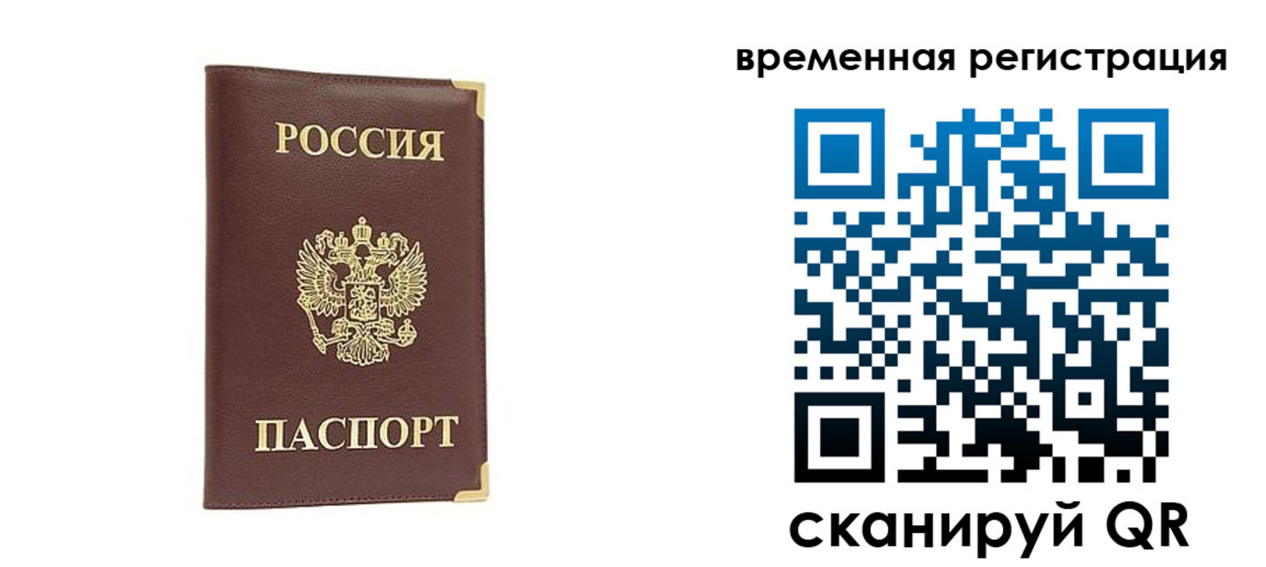 прописка от собственника в Брянской области